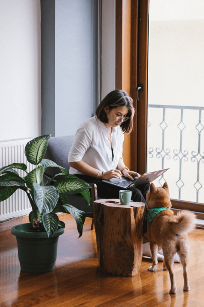 A woman on a laptop with a dog